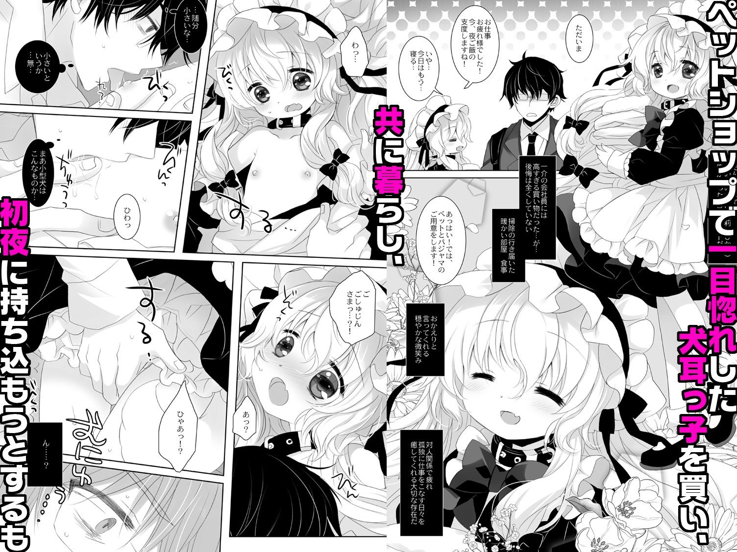 CHRONOLOG - 嫁にしようと思って買った犬耳メイドが男の娘だった (1)