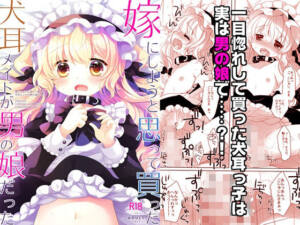 嫁にしようと思って買った犬耳メイドが男の娘だった [CHRONOLOG][d_587370][パッケージ画像]