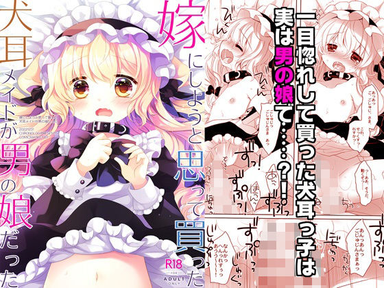 嫁にしようと思って買った犬耳メイドが男の娘だった [CHRONOLOG][d_587370][パッケージ画像]