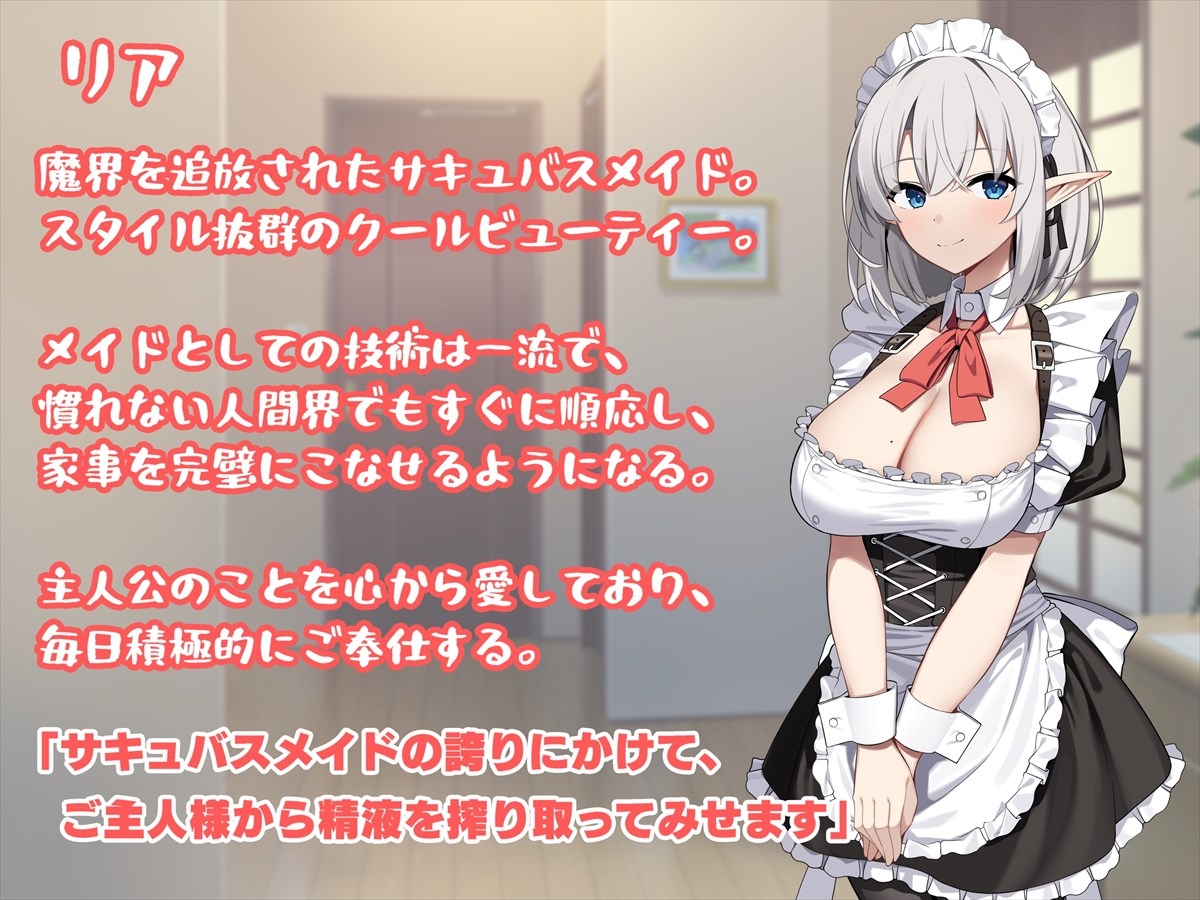 ペンギン千番地 - 魔界を追放されたサキュバスメイドを拾ったので溺愛してみた (9)