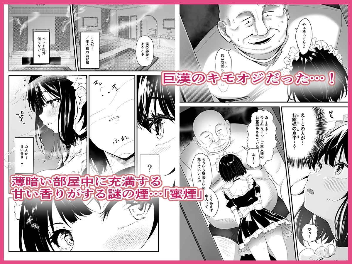 さしみ定食 - 蜜煙 (3)