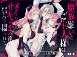魔族嫌いのご主人様はメイドのサキュバス達に弱みを握られて…！？ [パッケージ][BOX箱][d_736042]