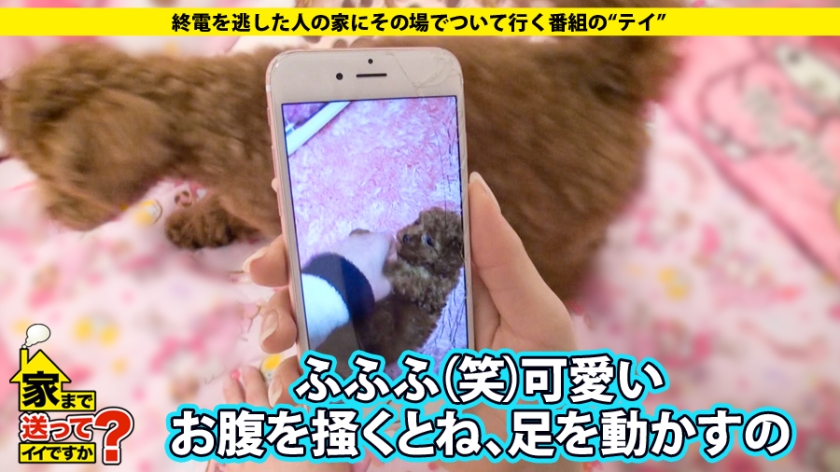 ドキュメンTV / ちはるさん メイドバー店員 21歳 - 家まで送ってイイですか？ case.13 まゆには神！！前髪の乱れを許さないド変態パイパンメイドは躾け済み？？愛犬りーちゃんとの7畳一間共同生活 (5)