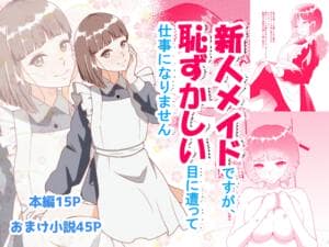 新人メイドですが恥ずかしい目にあって仕事になりません [パッケージ][ひっそりけいこ][d_796058][RJ01673987]
