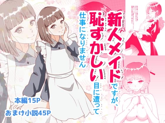 新人メイドですが恥ずかしい目にあって仕事になりません [パッケージ][ひっそりけいこ][d_796058][RJ01673987]