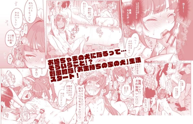 秘密結社うさぎ - お屋敷わんだふるライフ～メイド採用だと思ったら、犬にされました～ (7)