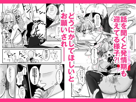 もめんやっこ堂 - 盛ってにゃんかないんですケドッ！ (2)