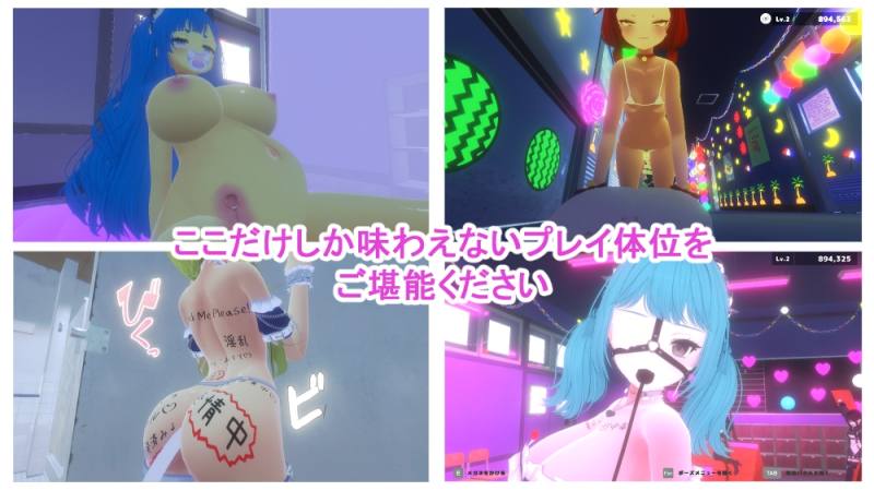 amera - 裏文化祭ソープランド通り (7)